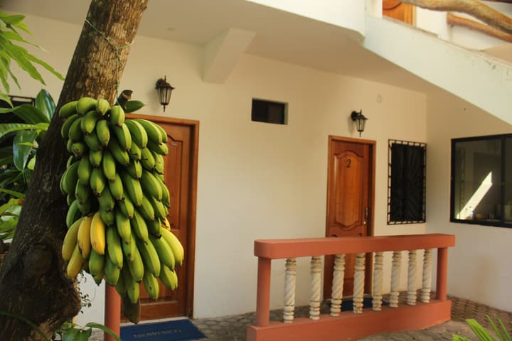 Casa de Nelly