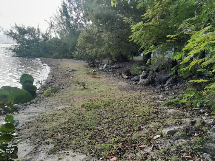 PARADISE CREEK COTTAGES