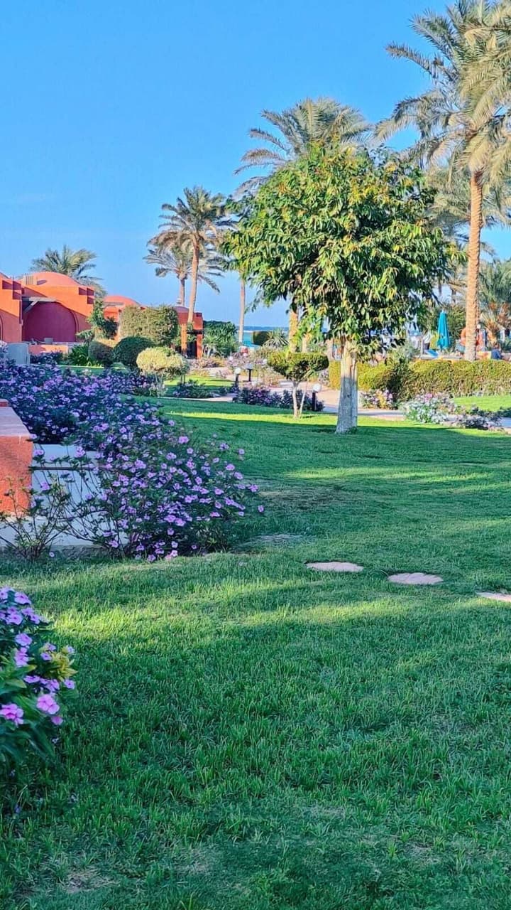 Swisstouch Oriental Resort Marsa Alam - All inclusive