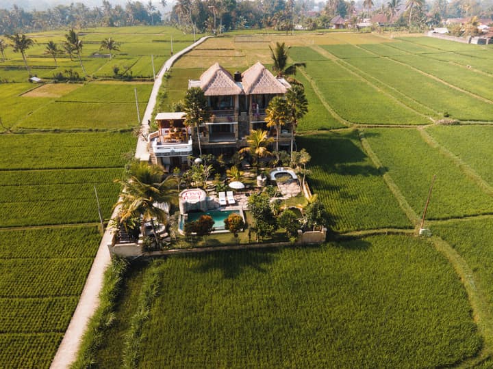 The Nenggala Suite