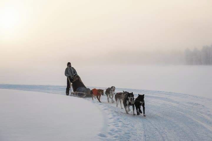 Vaattunki Wilderness Resort