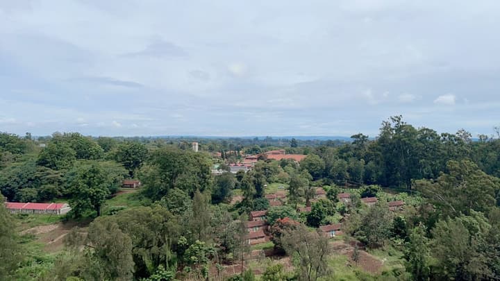 Rose Garden Apartments
