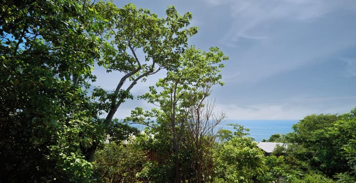 Cocolia Hotel