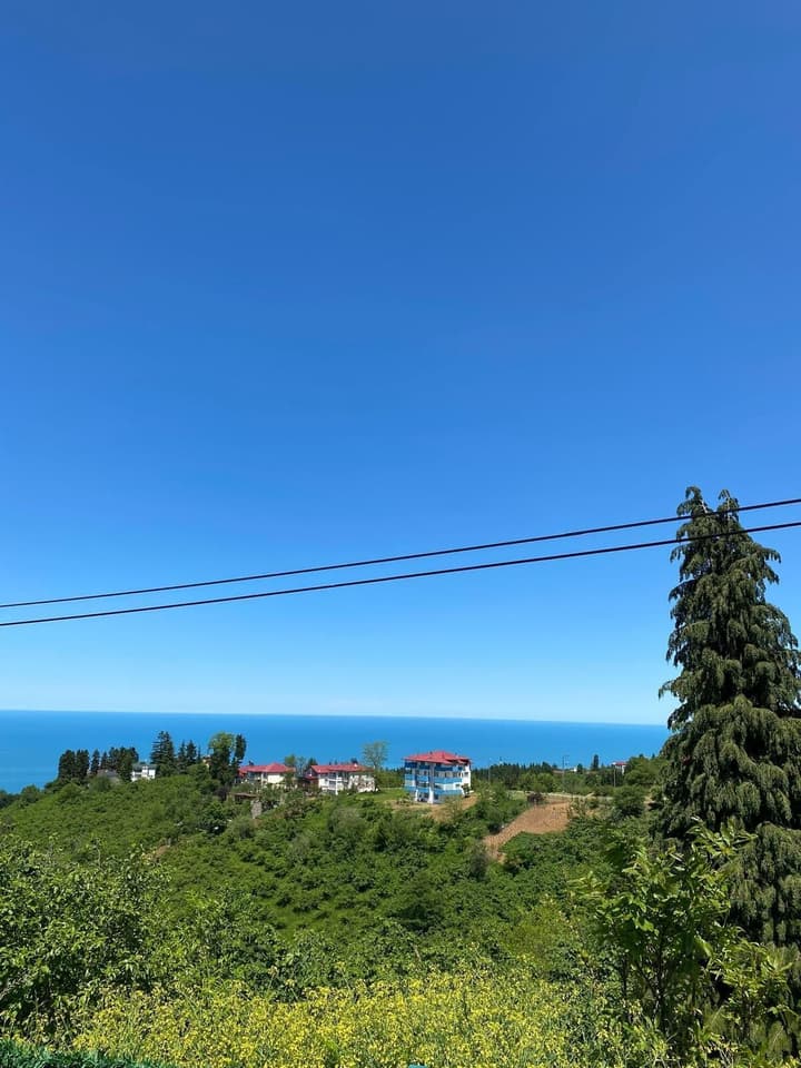 MİRA BUNGALOV