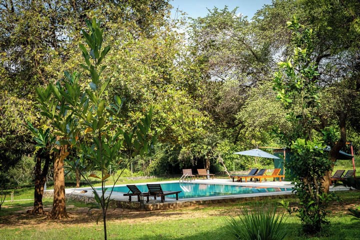 Pothana Village