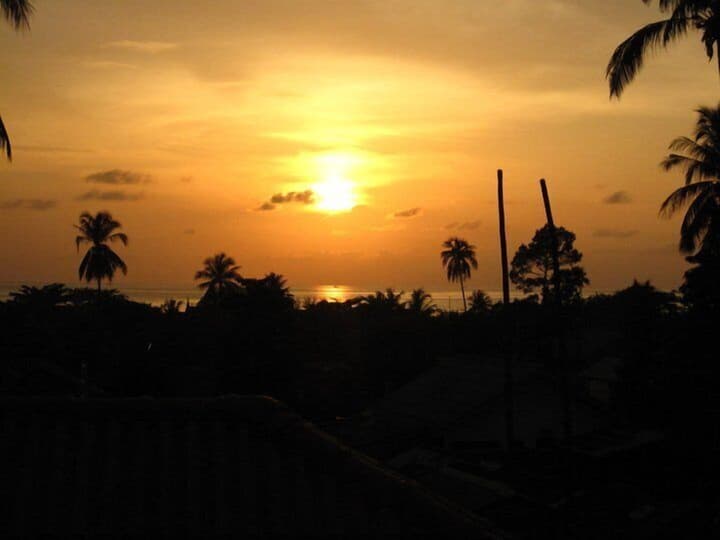 Paradise Bungalows