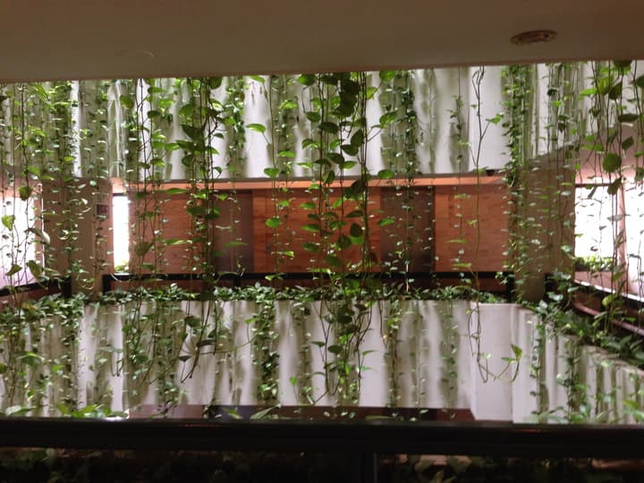 Apart Hotel Toborochi