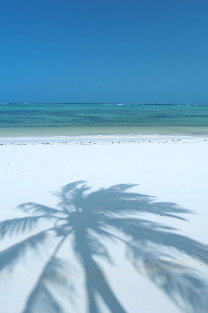 The Palms Zanzibar - All Inclusive