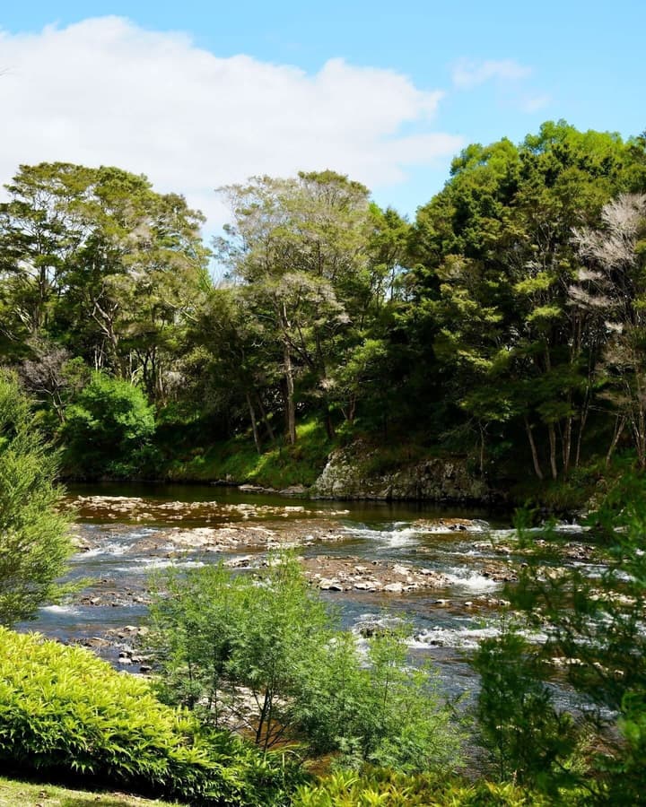 Bay of Islands Holiday Park