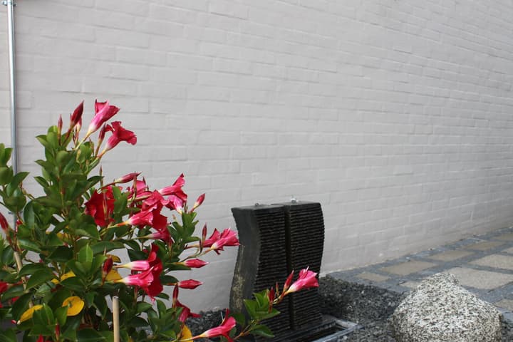 Amalie B&B Apartments