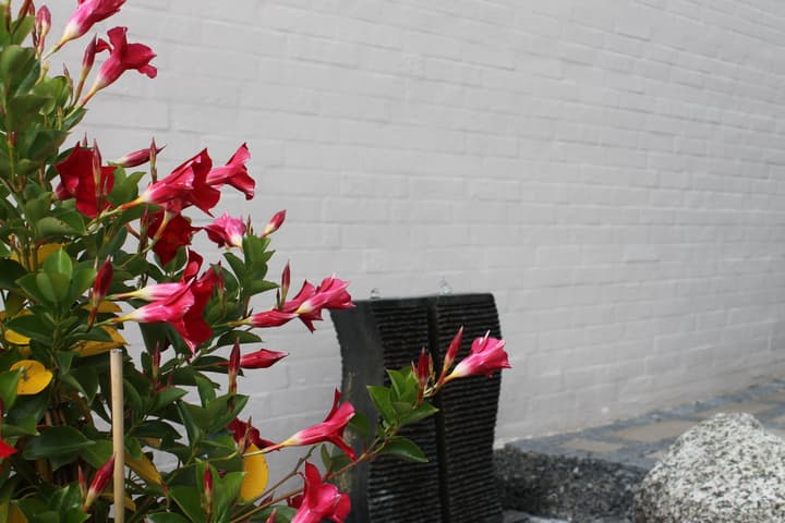 Amalie B&B Apartments