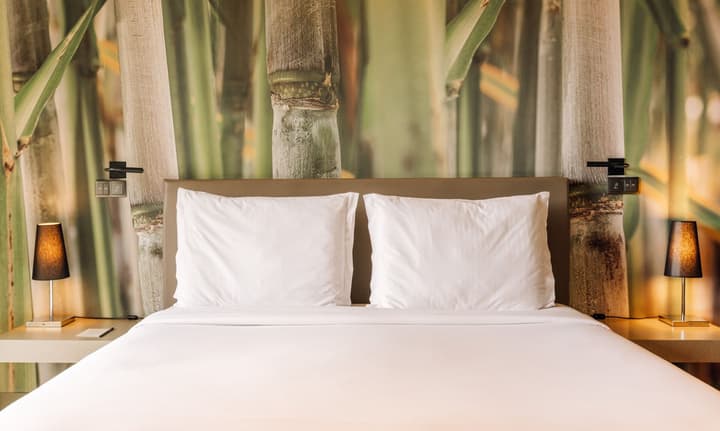 Saccharum Resort