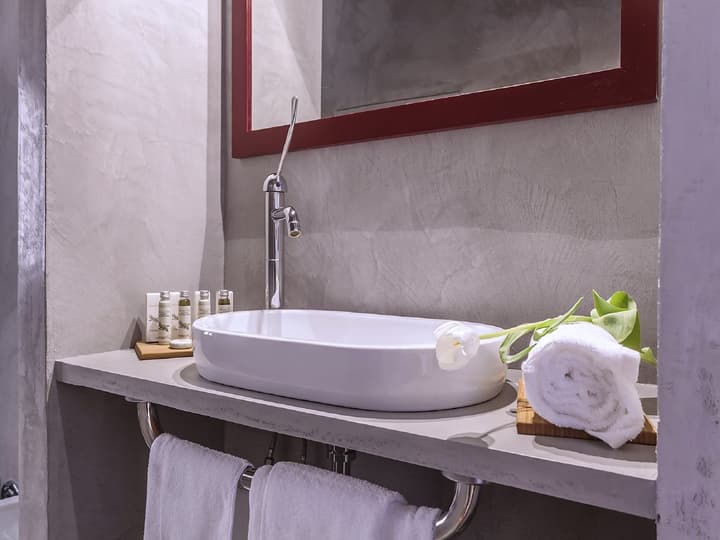 Hotel Astro Mediceo