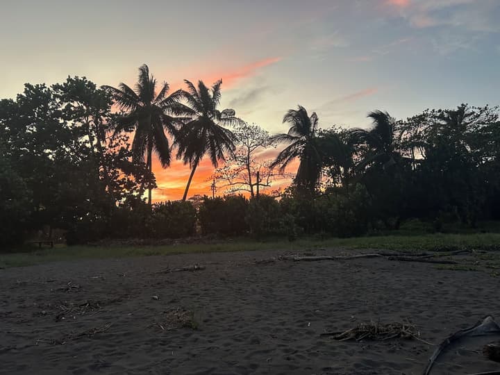 Miss Miriam Beachfront Cabins