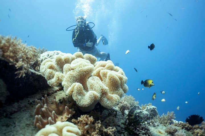 Manta Dive Resort Gili Air