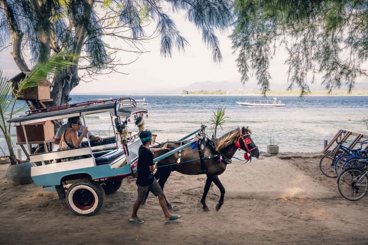 Manta Dive Resort Gili Air