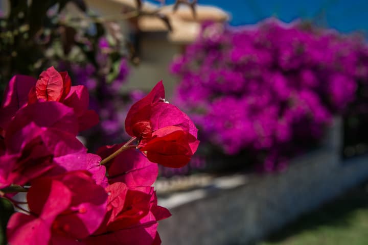 Keri Village & Spa by Zante Plaza - Adults Only - All inclusive