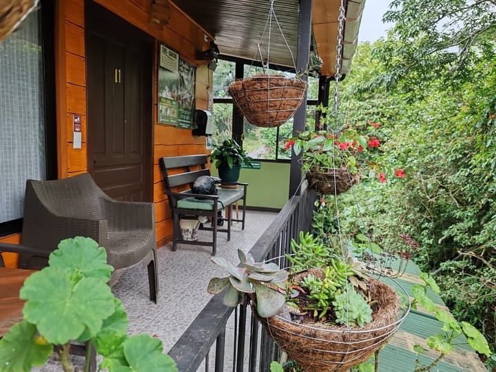 Cabinas El Pueblo - Hostel