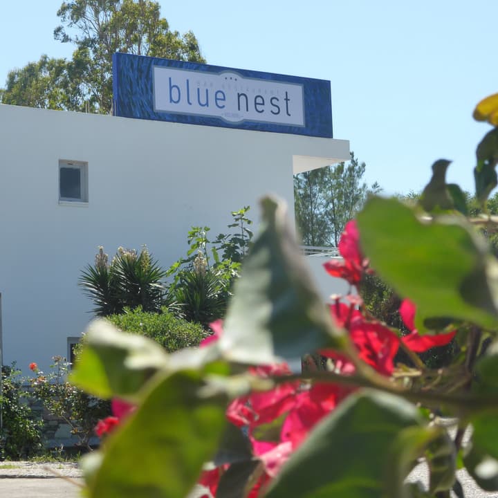Blue Nest