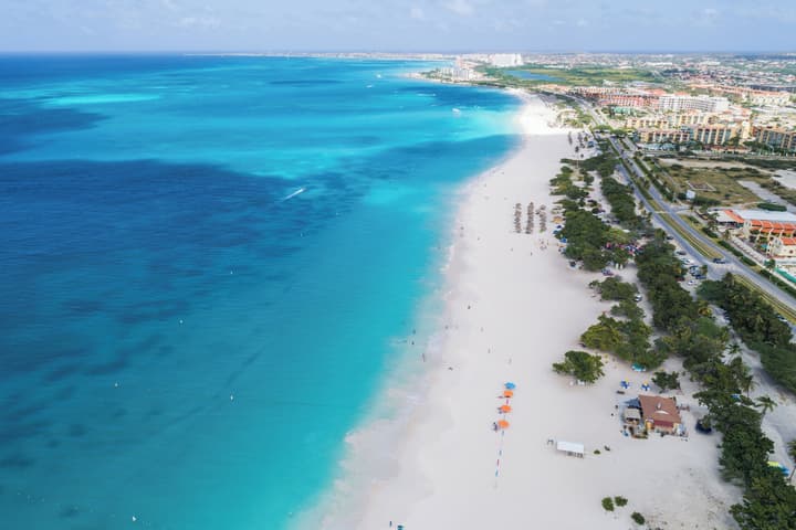 Little Paradise #1 - Prikichi