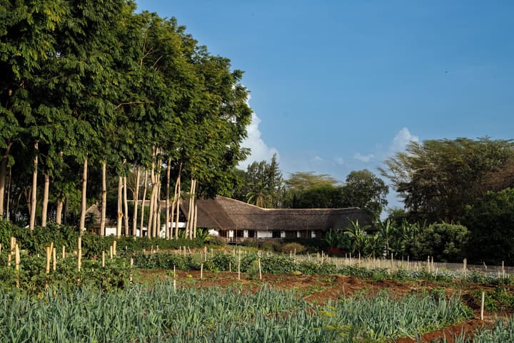 Ngorongoro Farm House