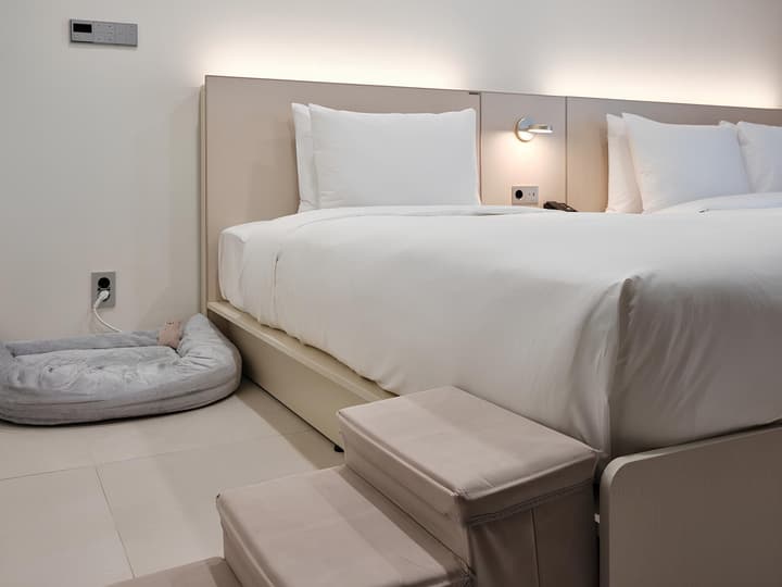 HOTEL THE BOTANIK SEWOON MYEONGDONG