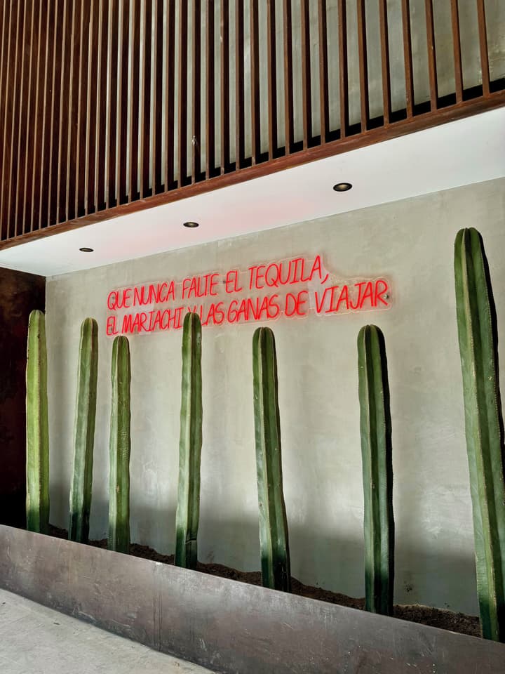 Hotel Aló Degollado