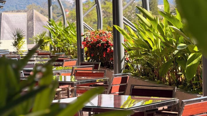 Zenith Suites Cameron