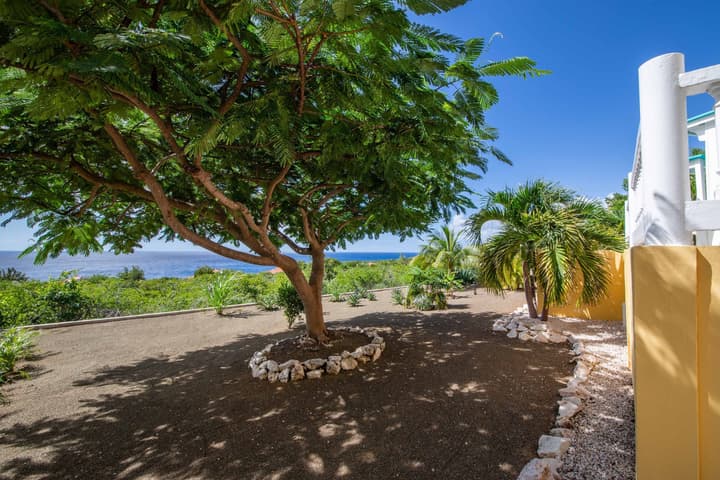 Tropical Twilight Haven Unwind in Style