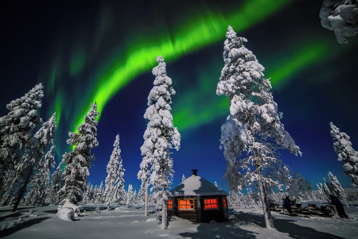 Wilderness Hotel Kieppi