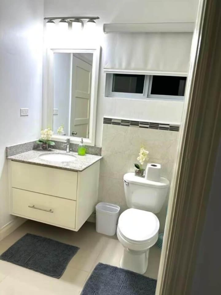 Modern 1BR Condo in Kingston