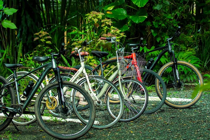 Monoceros Resort