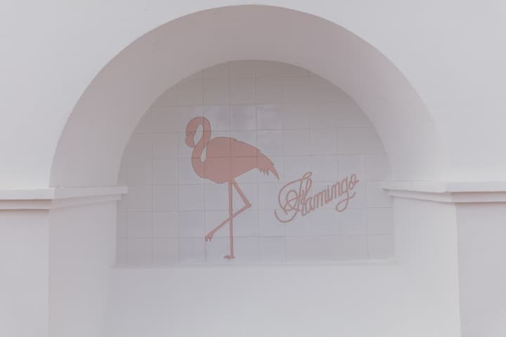 Flamingo Beach Mate
