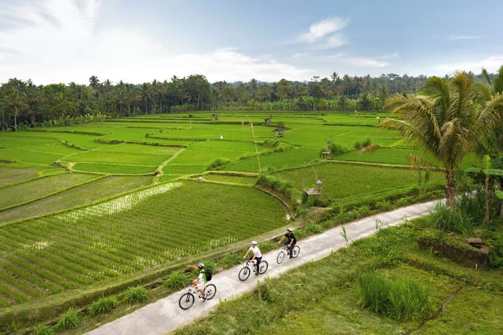 Padma Resort Ubud