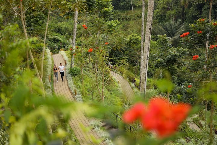 Padma Resort Ubud