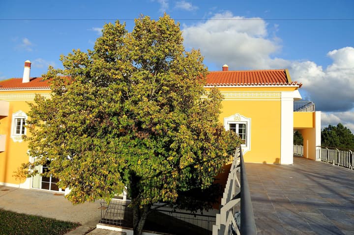 Cabeças do Reguengo