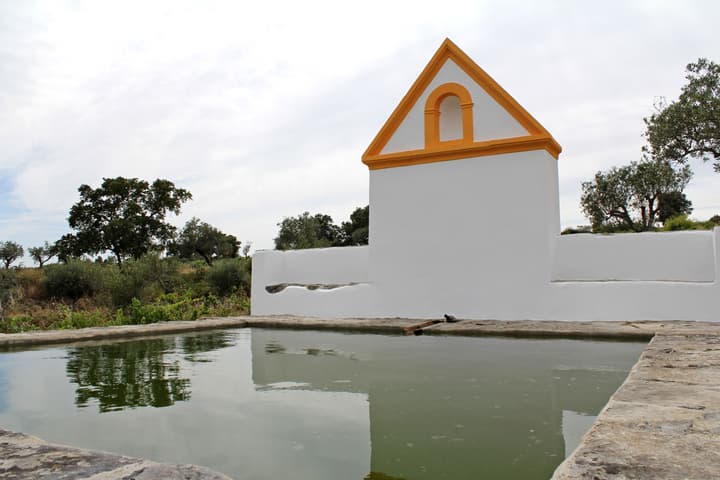 Cabeças do Reguengo