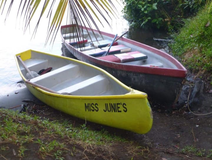Miss Junies Lodge