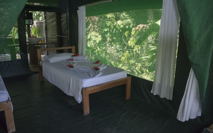 La Leona Eco Lodge