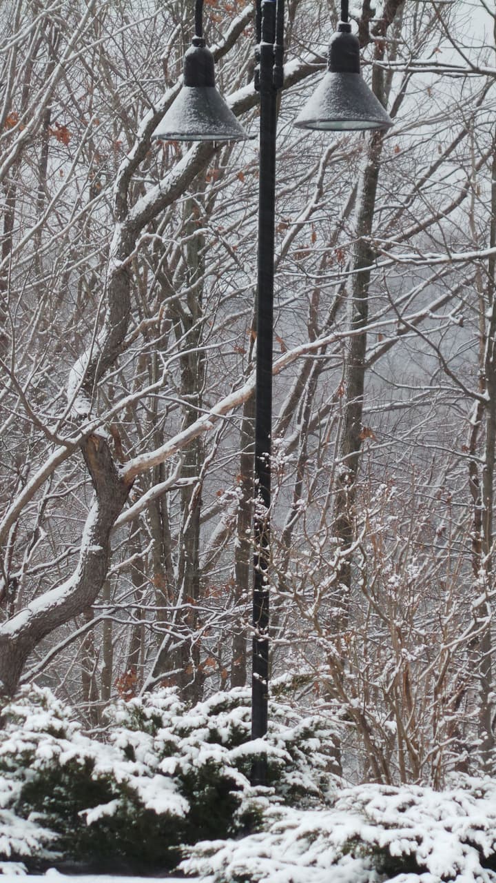 Berkshire Mountain Lodge