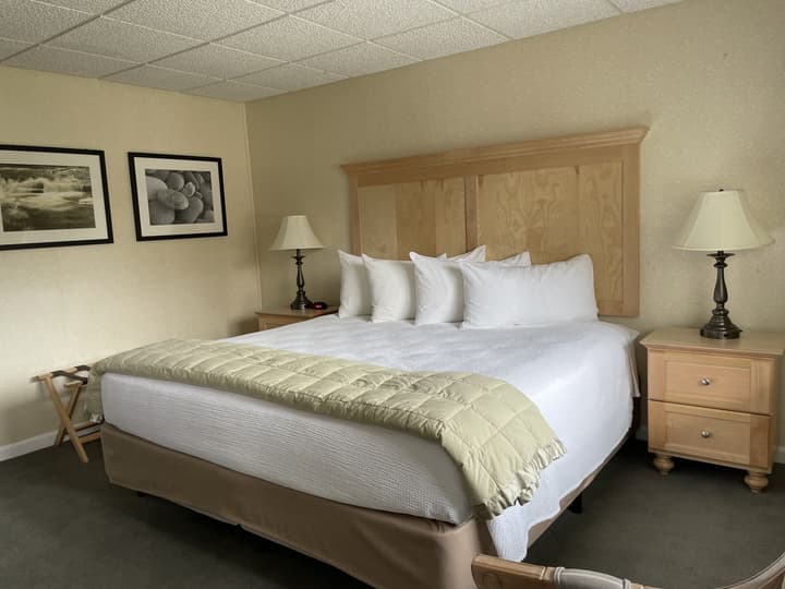 Moseley Cottage Inn & Town Motel