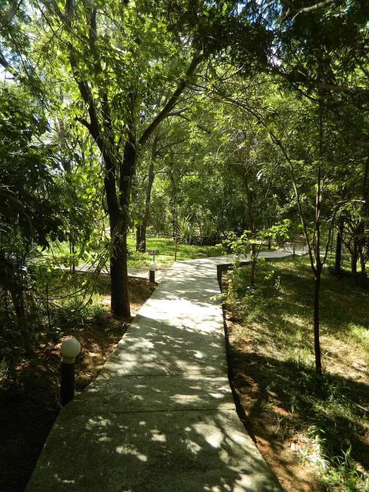Kwalape Safari Lodge