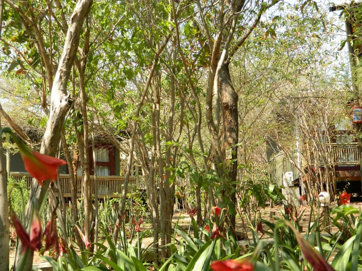 Kwalape Safari Lodge