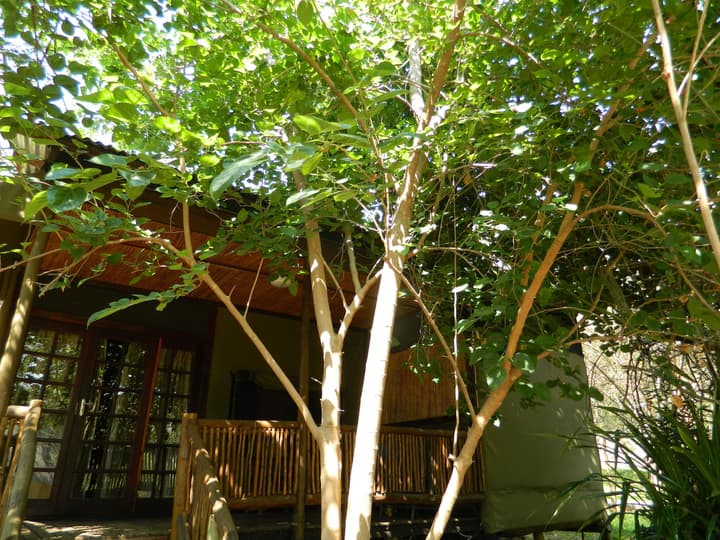 Kwalape Safari Lodge