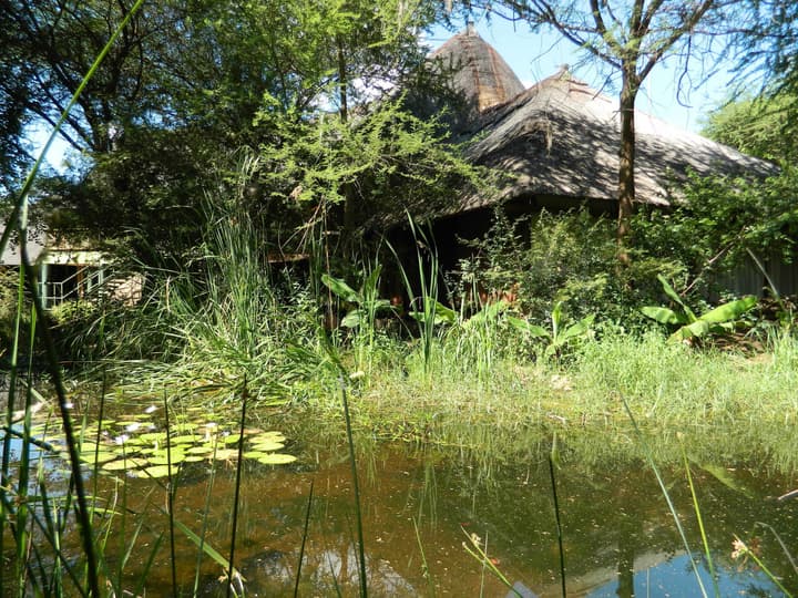 Kwalape Safari Lodge