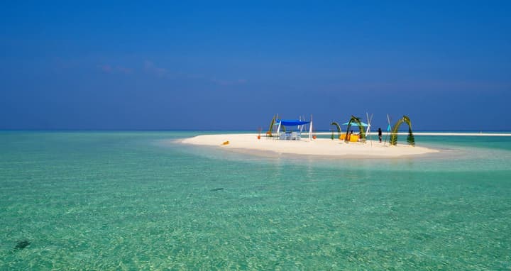 Plumeria Maldives