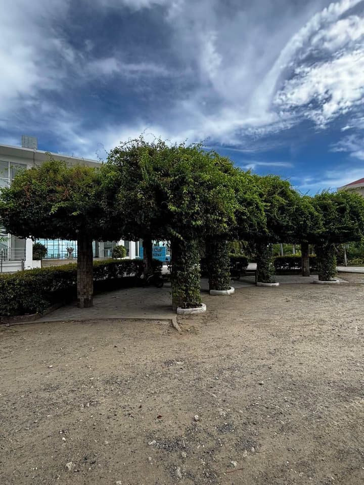Chateau By The Sea