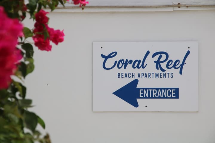 Coral Reef Beach Aruba