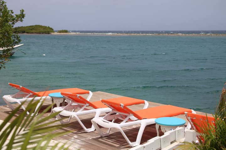 Coral Reef Beach Aruba
