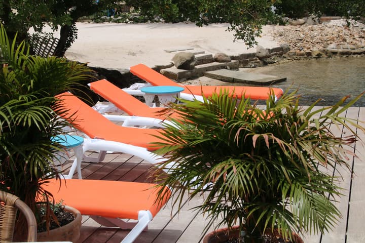 Coral Reef Beach Aruba